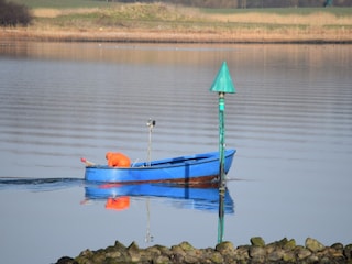 morgens vor Ihrem Fenster