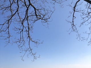 Aussichtspunkt "Erpeler Ley"