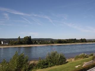 Blick auf den Rhein