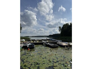 Casa de vacaciones Lohmen in Mecklenburg Entorno 18
