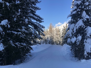 Winterimpressionen Graukogel Skipiste