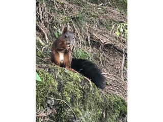 Sommerimpression Kaiser Wilhelm Promenade, Gastein