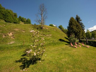 Liegewiese und Garten