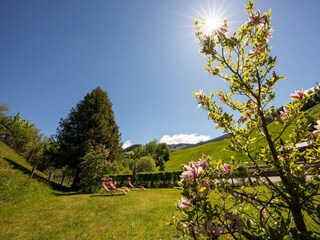 Liegewiese und Garten