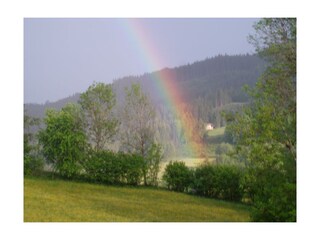 Sommerliches Farbenspiel