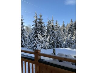 Ausblick vom Balkon an einem schönen Wintertag