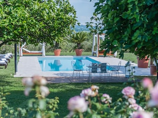 Casa per le vacanze Serrungarina Registrazione all'aperto 7