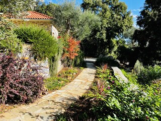 Kalivi Elena with tropical garden