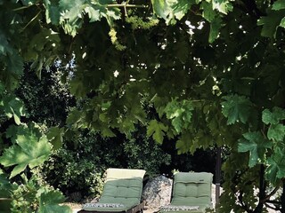 Kalivi Elena Terrace in the shade