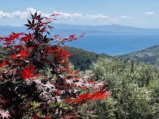 Kalivi Elena with sea view.