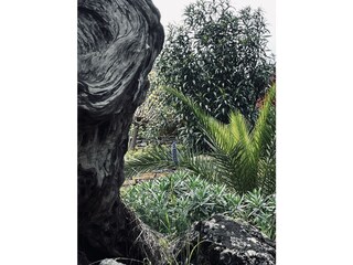 Kalivi Elena, tropical Garden.