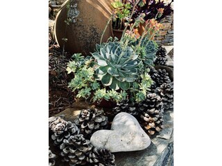 Kalivi Elena empfängt seine Gäste mit Liebe.