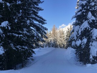 Winterimpressionen Graukogel Skipiste