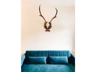 Villakraft, Bad Gastein