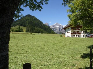 Heuernte & Appartementhaus