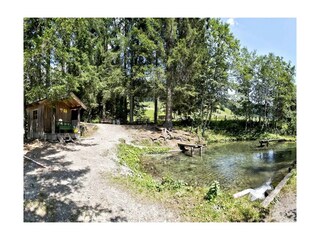 Hauseigener Fischteich