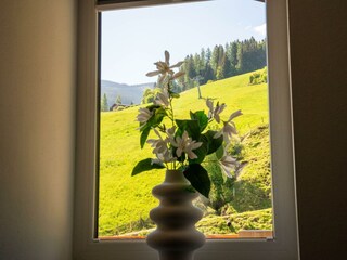 Zimmer_1