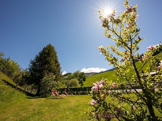 Liegewiese und Garten