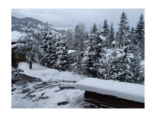 Auflichtung nach Schneefall