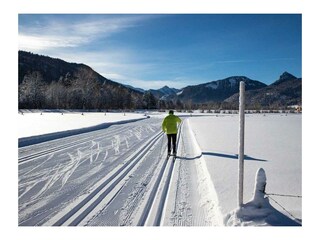 cross-country-skiing-5931790_1280_optimized-1200x8