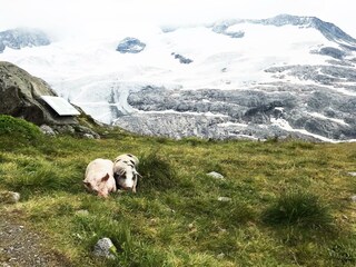 (c) Ferienregion Nationalpark Hohe Tauern