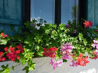 Ferienhaus Stockinggut Blumenschmuck