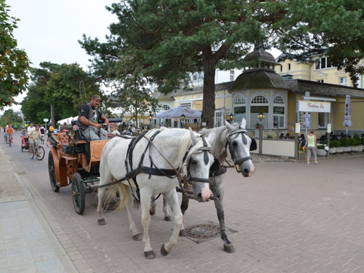 Single frauen insel usedom