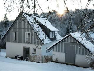 Winter im Froschkönig