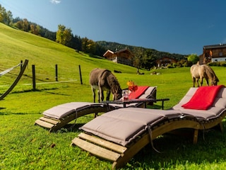 aussenansicht-sommer_unterreith_1-99