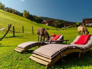 aussenansicht-sommer_unterreith_1-99