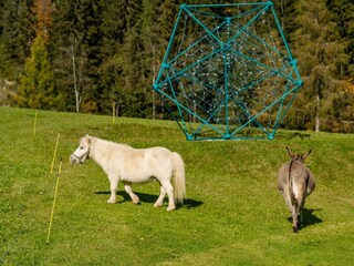 Familienhotel Unterreith