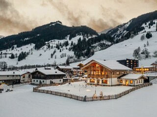 WhatsApp Image 2026-01-16 at 20.23.58