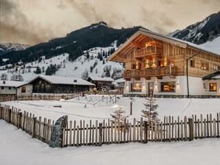 WhatsApp Image 2026-01-16 at 20.25.49