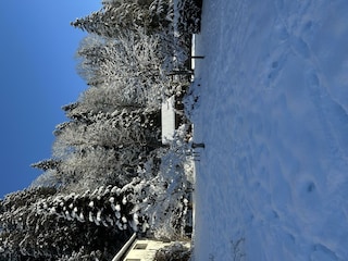 Garten verschneit