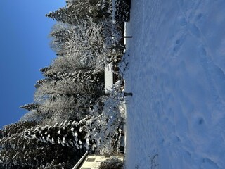 Garten verschneit