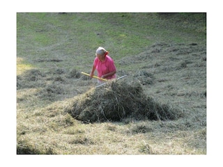 Heuarbeit im Hochsommer