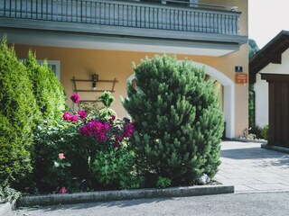 45_Chalet_carina_by_we_rent_garden