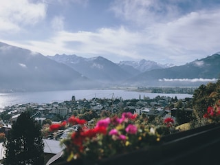 6_Apartments_Haus_Altenberger_view