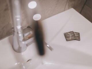 23_Apartments_Haus_Altenberger_Seeblick_bathroom_d