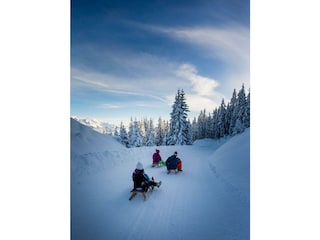 Ikarus_2259-3050950919-O