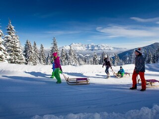 Ikarus_2433-3050942366-O