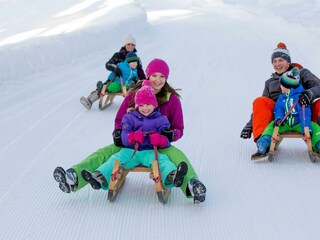 Ikarus_3057-3050920344-O