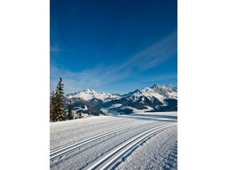 Bestens präparierte Loipe © Salzburger Sportwelt,