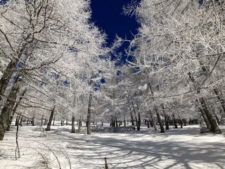 Winterlandschaft