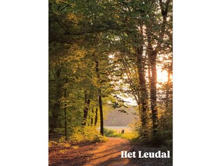 Wandern im Waldgebiet Het Leudal