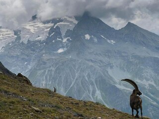 Chalet Les Allues Environment 36
