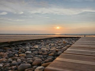 Holiday park Cayeux-sur-Mer Environment 21