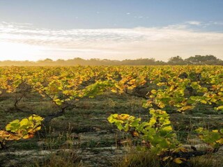 Parco vacanze L'Aiguillon-sur-Vie Ambiente 14