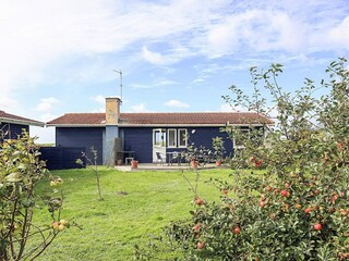 Ferienhaus Svinø Strand Außenaufnahme 7