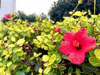 Bungalow Roquetas de Mar Registrazione all'aperto 4